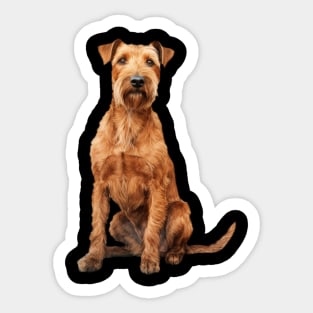 Irish Terrier Sticker